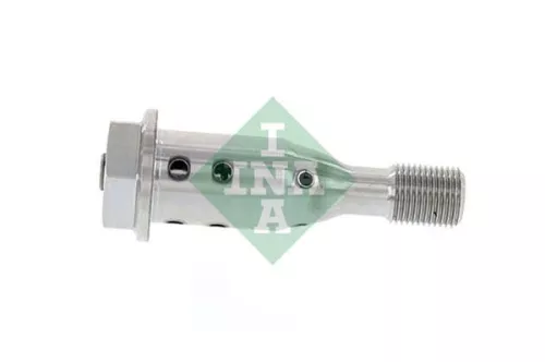 Centrale klep, nokkenasafstelling Schaeffler INA 427 0021 10)