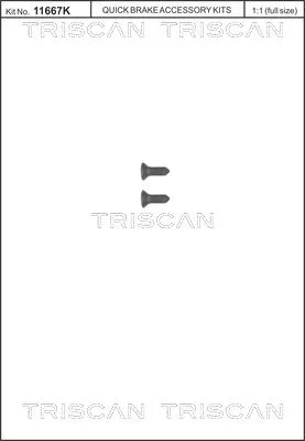 Schroevenset, remschijf TRISCAN 8105 116008)