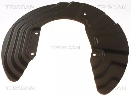 Spatbord, remschijf TRISCAN 8125 11138)