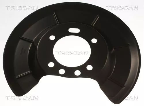 Spatbord, remschijf TRISCAN 8125 16218)