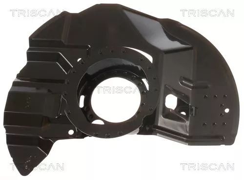 Spatbord, remschijf TRISCAN 8125 11107)