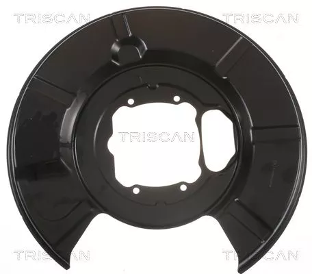 Spatbord, remschijf TRISCAN 8125 11214)