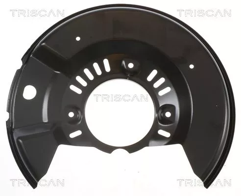 Spatbord, remschijf TRISCAN 8125 13105)