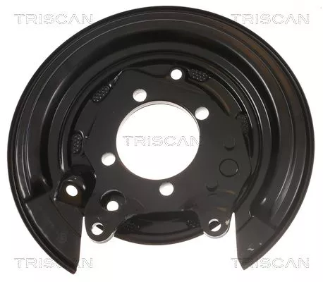 Spatbord, remschijf TRISCAN 8125 13201)