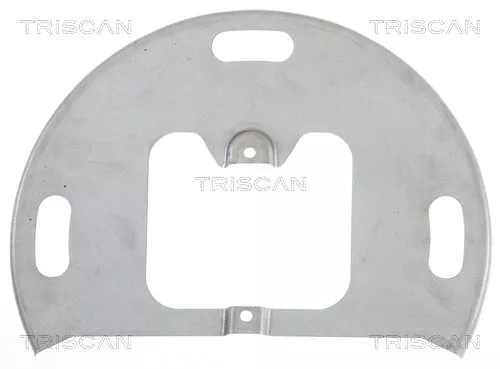 Spatbord, remschijf TRISCAN 8125 15108)