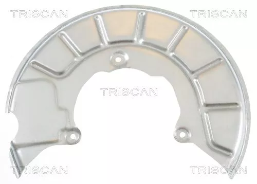 Spatbord, remschijf TRISCAN 8125 29102)