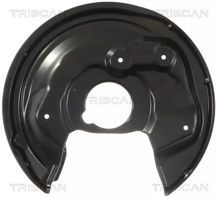 Spatbord, remschijf TRISCAN 8125 29230)
