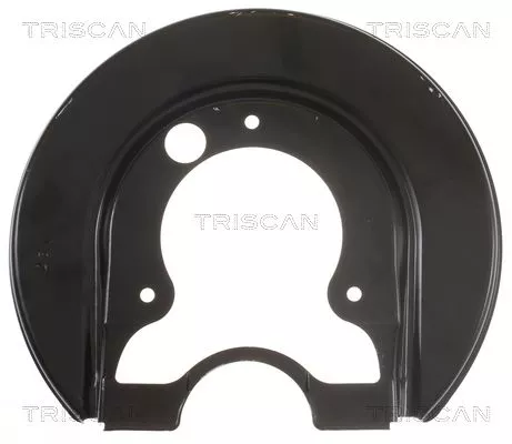 Spatbord, remschijf TRISCAN 8125 29251)