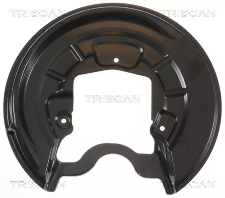 Spatbord, remschijf TRISCAN 8125 29262)