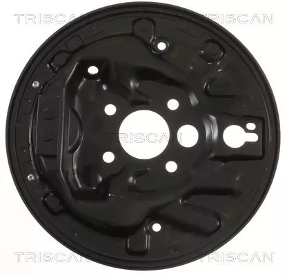Spatbord, remschijf TRISCAN 8125 29264)