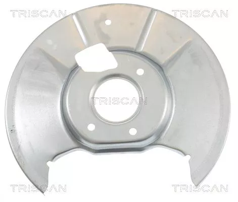 Spatbord, remschijf TRISCAN 8125 50204)