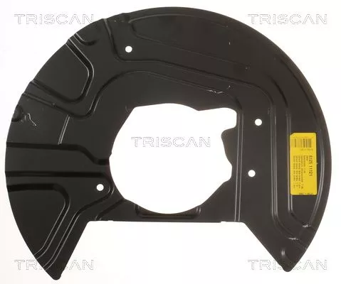 Spatbord, remschijf TRISCAN 8125 11121)