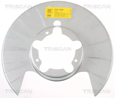 Spatbord, remschijf TRISCAN 8125 15209)
