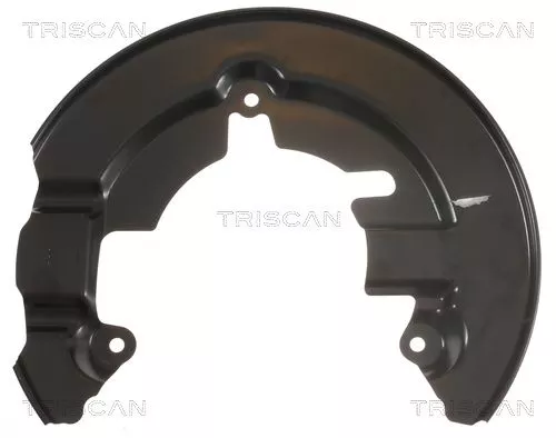 Spatbord, remschijf TRISCAN 8125 16102)