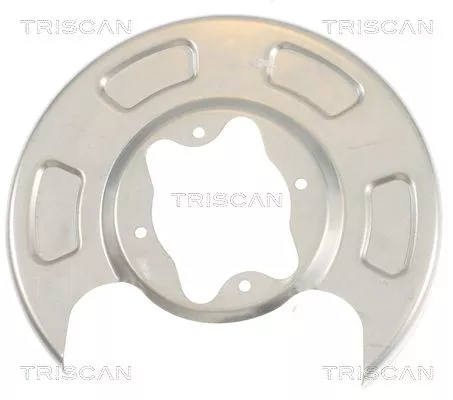 Spatbord, remschijf TRISCAN 8125 18207)