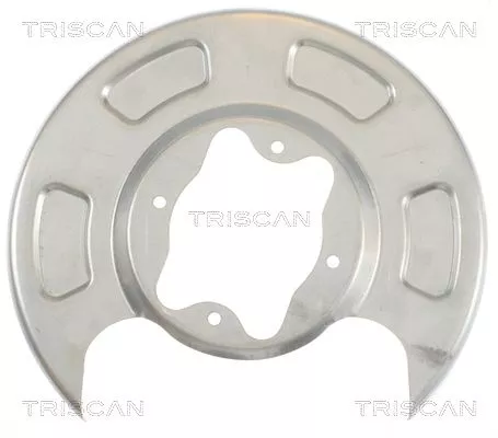 Spatbord, remschijf TRISCAN 8125 18208)