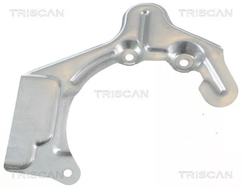 Spatbord, remschijf TRISCAN 8125 29116)