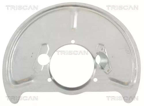 Spatbord, remschijf TRISCAN 8125 29146)