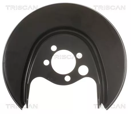 Spatbord, remschijf TRISCAN 8125 29220)
