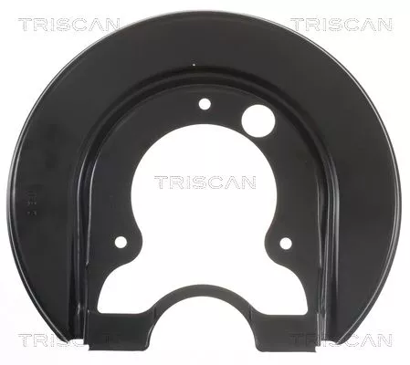 Spatbord, remschijf TRISCAN 8125 29250)