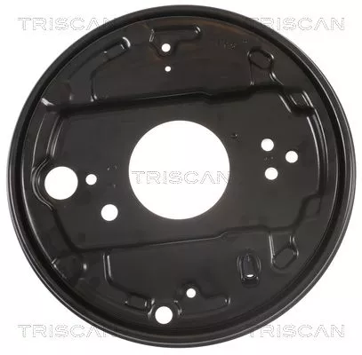 Spatbord, remschijf TRISCAN 8125 29261)