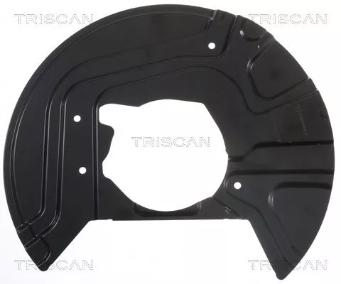 Spatbord, remschijf TRISCAN 8125 11122)