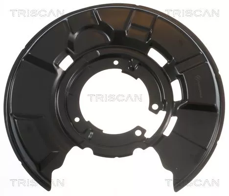 Spatbord, remschijf TRISCAN 8125 11202)