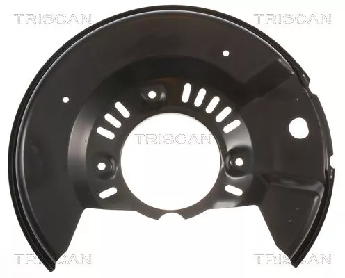 Spatbord, remschijf TRISCAN 8125 13106)