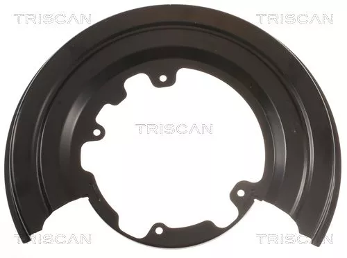 Spatbord, remschijf TRISCAN 8125 15206)