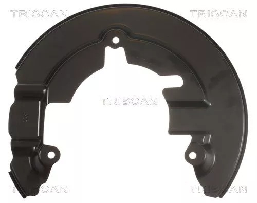 Spatbord, remschijf TRISCAN 8125 16101)