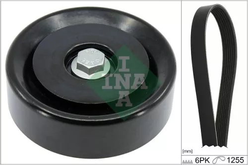 V-ribbed Belt Set Schaeffler INA 529 0496 10)