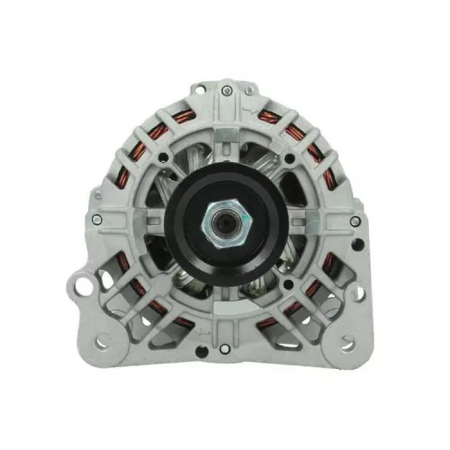 Alternator BV PSH 305.554.090.000)