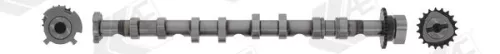 Nokkenas AE CAM981)