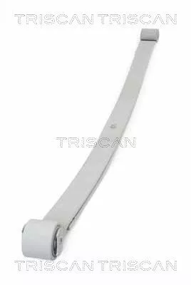 Spring Pack TRISCAN 8765 10006)