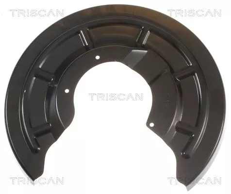 Spatbord, remschijf TRISCAN 8125 25204)