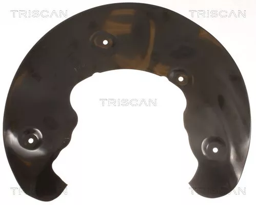 Spatbord, remschijf TRISCAN 8125 29109)
