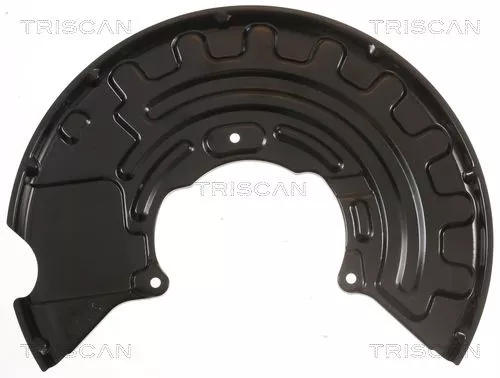 Spatbord, remschijf TRISCAN 8125 29128)