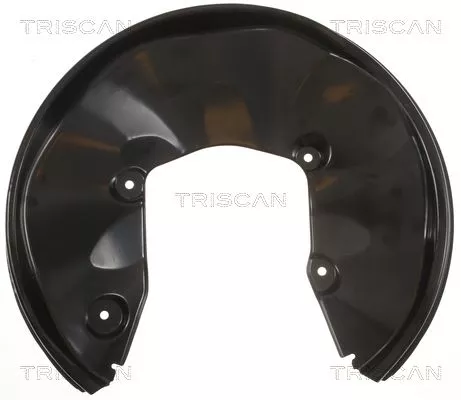 Spatbord, remschijf TRISCAN 8125 29224)