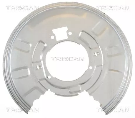 Spatbord, remschijf TRISCAN 8125 11210)