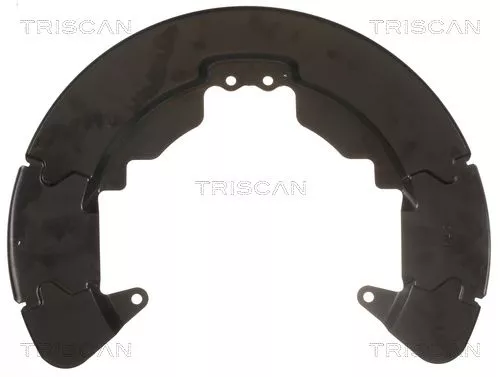 Spatbord, remschijf TRISCAN 8125 16204)