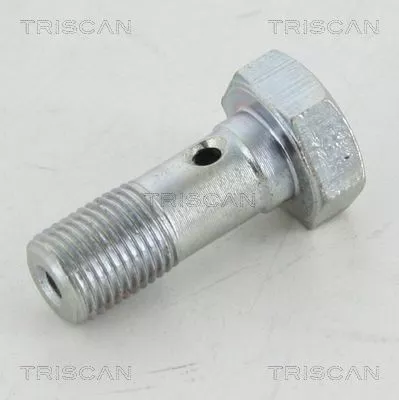 Banjo-bout TRISCAN 8105 3254)