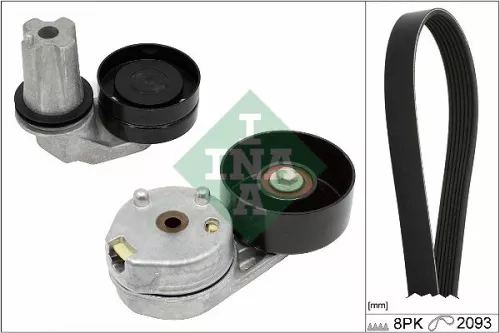 V-geribbelde riemset Schaeffler INA 529 0445 10)