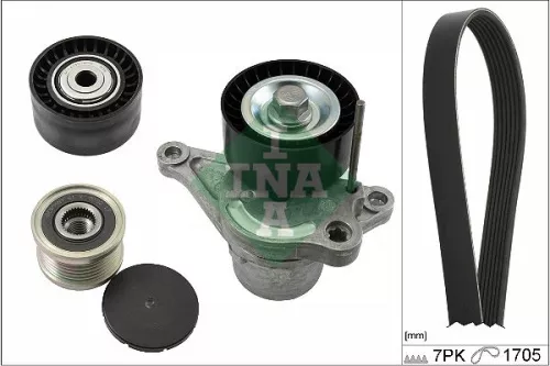 V-ribbed Belt Set Schaeffler INA 529 0423 20)