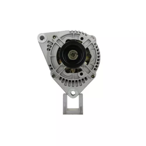 Alternator BV PSH 555.502.090.010)