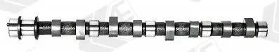 Nokkenas AE CAM389)