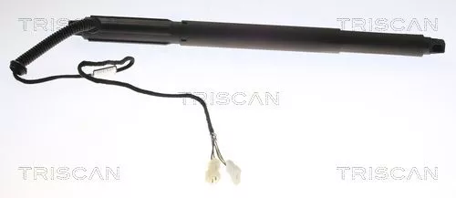 Gasveer, kofferbak/laadruimte TRISCAN 8710 11302)