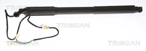 Gasveer, kofferbak/laadruimte TRISCAN 8710 11304)