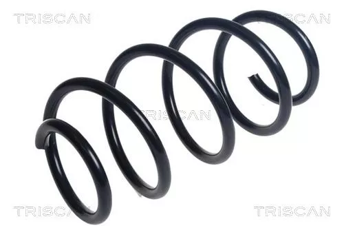 Veerophanging TRISCAN 8750 29486)