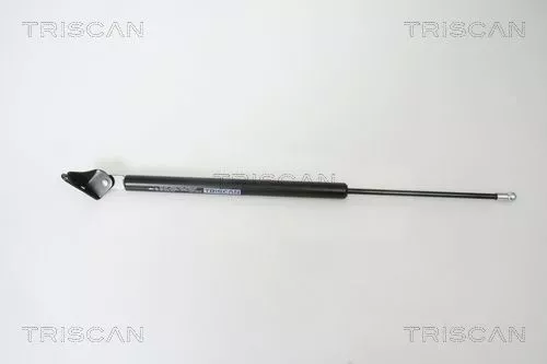Gasveer, kofferbak/laadruimte TRISCAN 8710 50239)