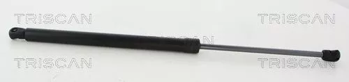 Gasveer, kofferbak/laadruimte TRISCAN 8710 292047)